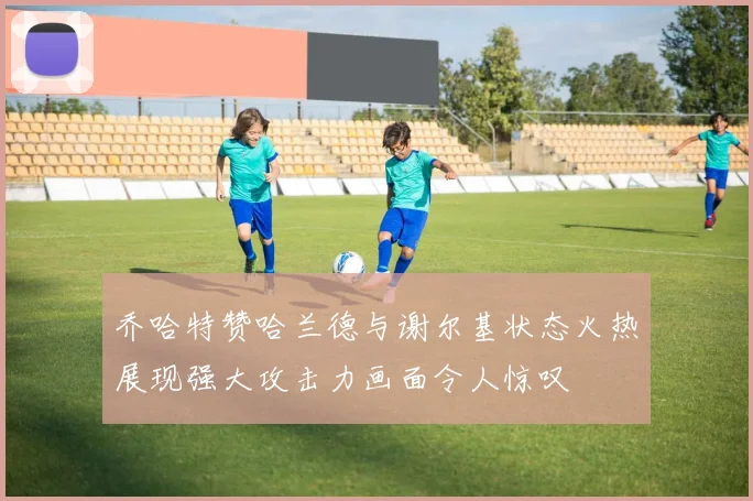 乔哈特赞哈兰德与谢尔基状态火热展现强大攻击力画面令人惊叹